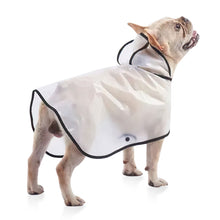 TPU Transparent Pet Cape Raincoat - Large
