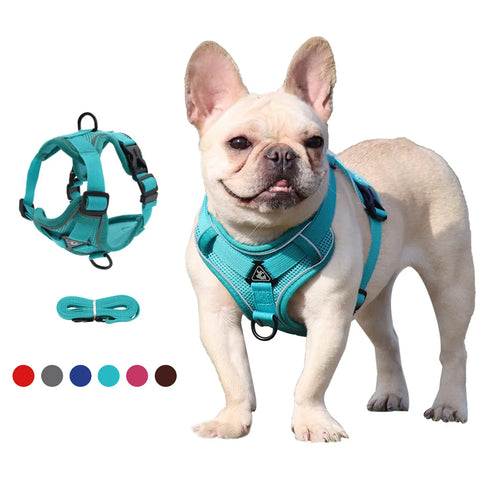 Dog Harness with 1.5m Traction Leash