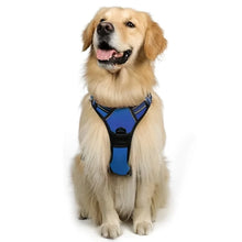 Dog Harness, No-Pull Pet Harness with 2 Leash Clips, Adjustable Soft Padded Dog Vest, Black