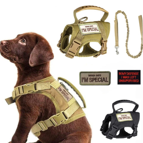 Tactical Harness Vest Dog Harness Leash Set