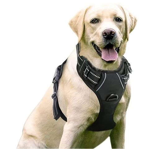 Dog Harness, No-Pull Pet Harness with 2 Leash Clips, Adjustable Soft Padded Dog Vest, Black