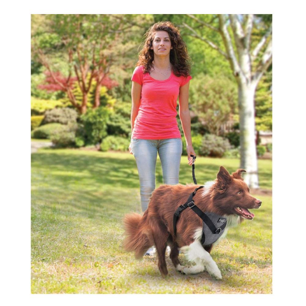 Dog Harness 2 in 1 Combo - Car Travel Rides + Walks - No Pull Leash Seat Belt - Small