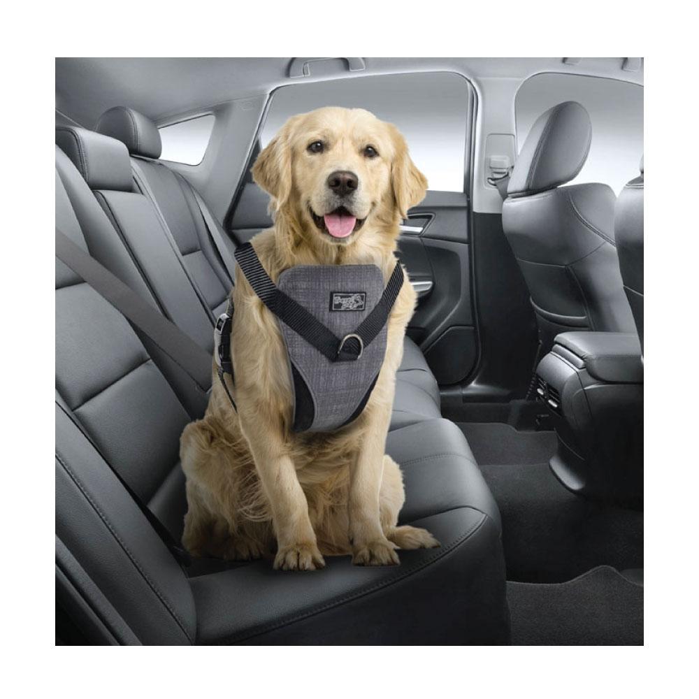 Dog Harness 2 in 1 Combo - Car Travel Rides + Walks - No Pull Leash Seat Belt - Small