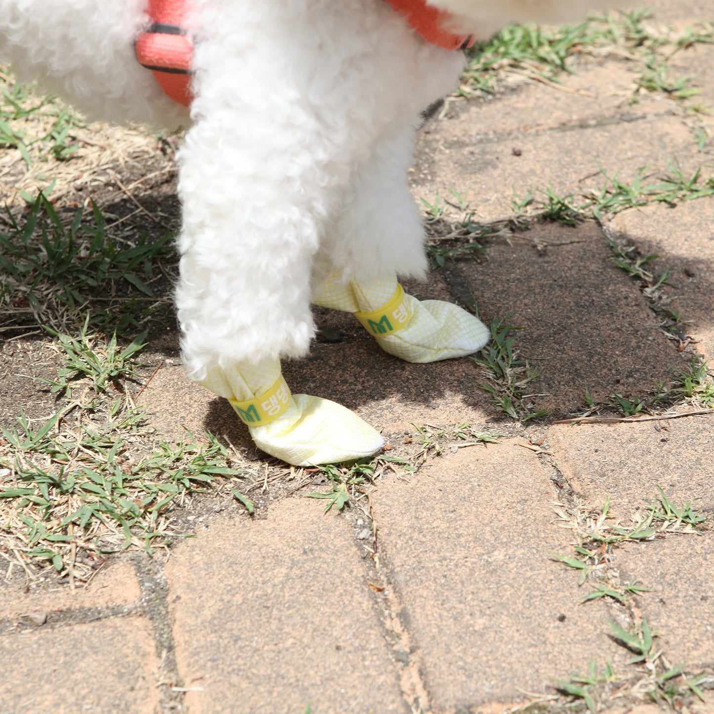 28pc Waterproof Disposable Dog Shoes Boots Anti-Slip Socks Violet - L