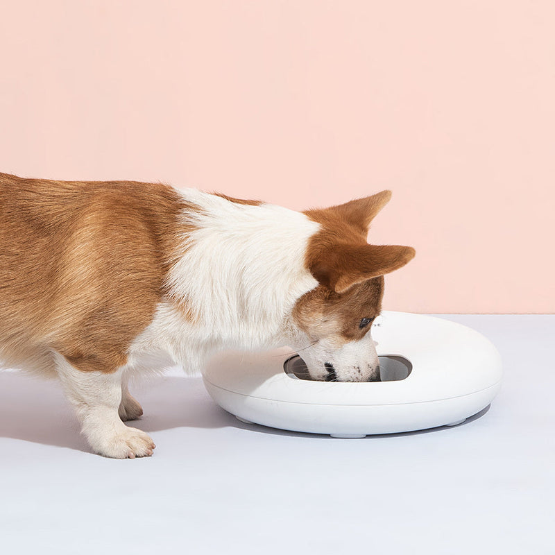 6 Meal Automatic Food Feeder with Programmable Timer - White